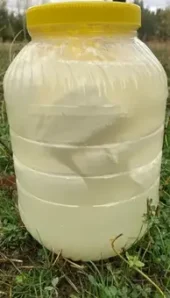 Salamura Peynir - Görsel 3